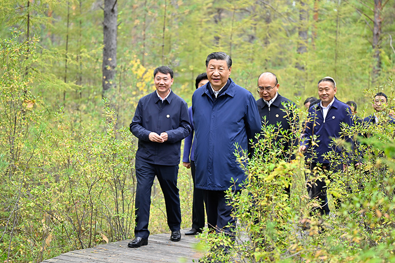 9月6日至8日，中共中央總書記、國(guó)家主席、中央軍委主席習(xí)近平在黑龍江考察。這是6日下午，習(xí)近平在大興安嶺地區(qū)漠河市漠河林場(chǎng)自然林區(qū)考察